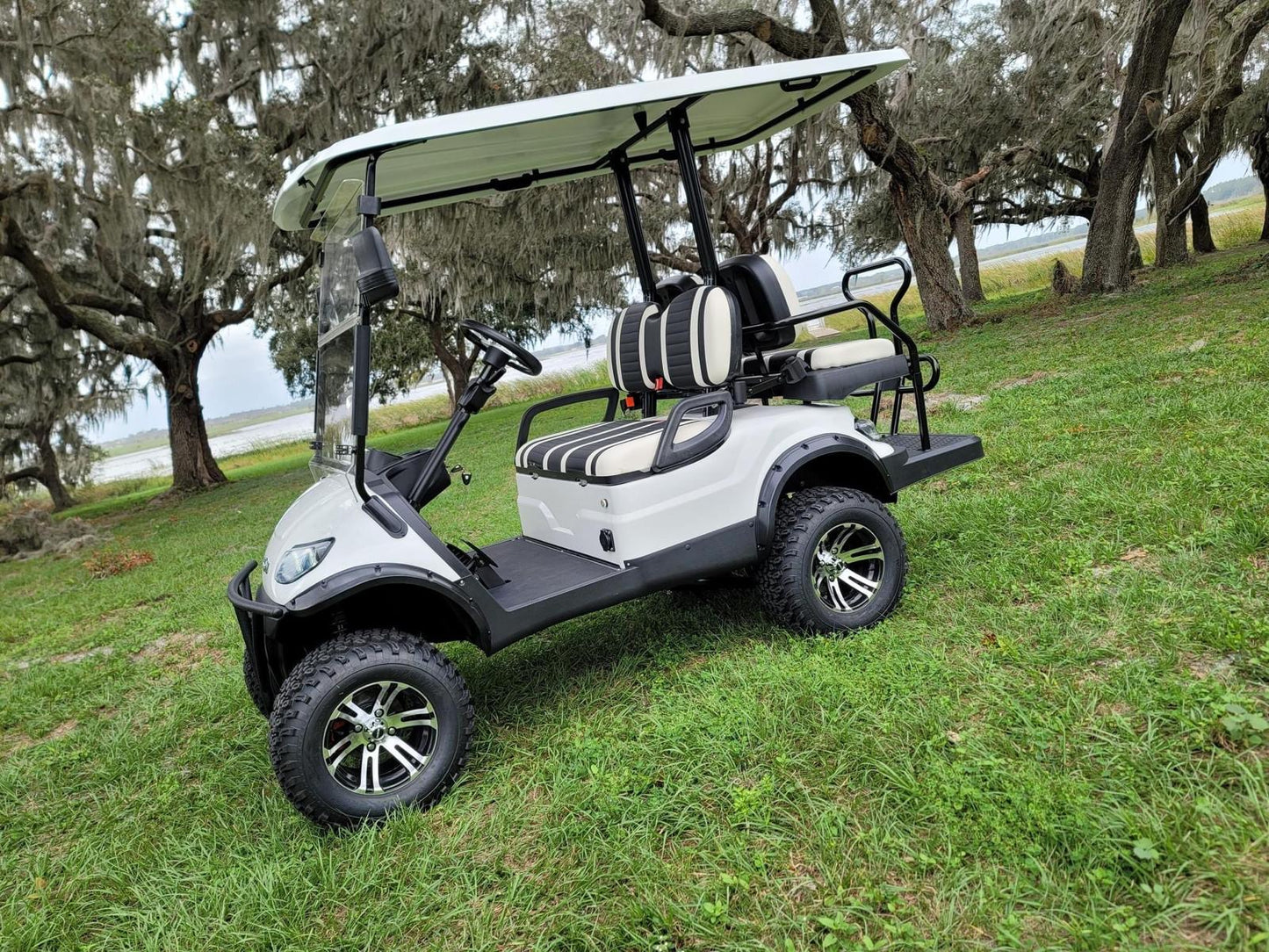 2025 i40L Icon Golf Cart
