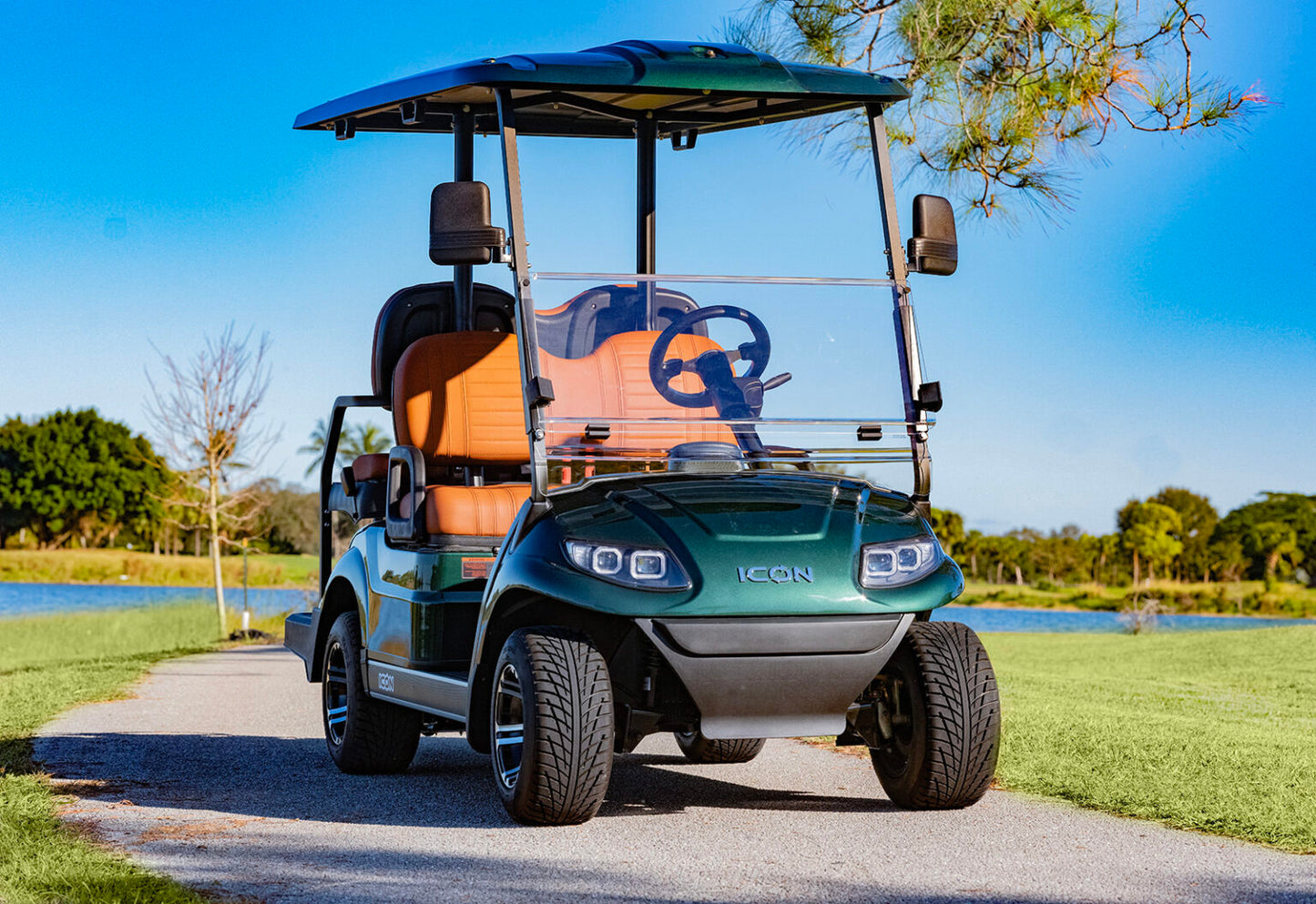 2025 Icon G40 gas golf cart