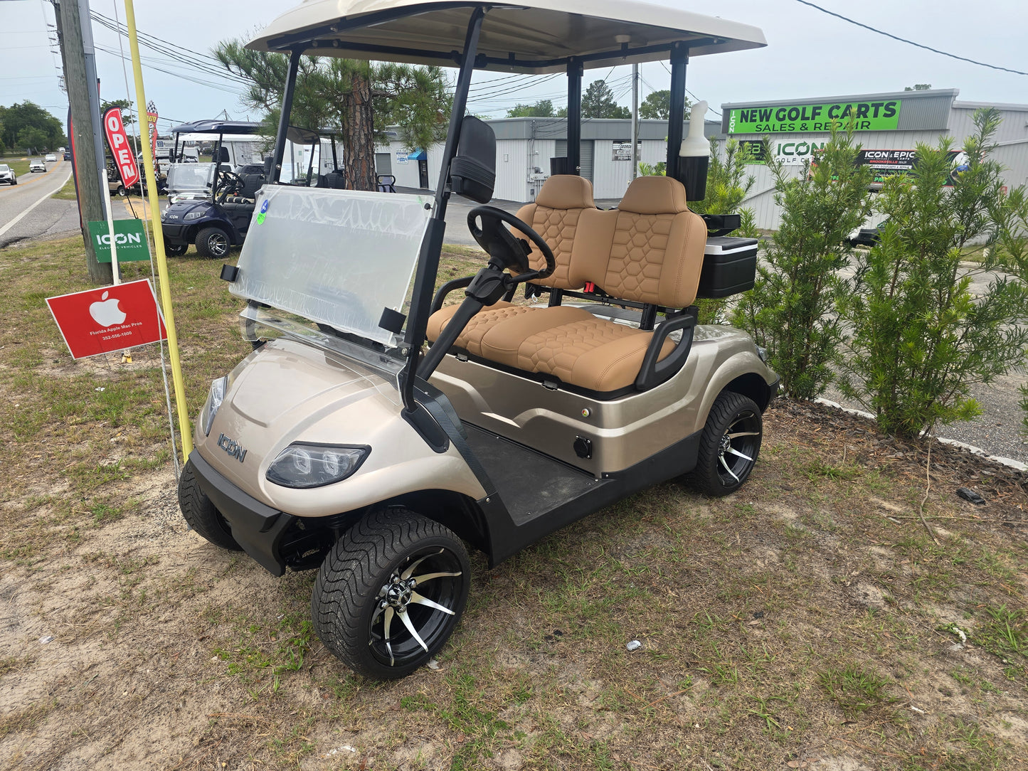 Two Seater Golfcarts In Stock