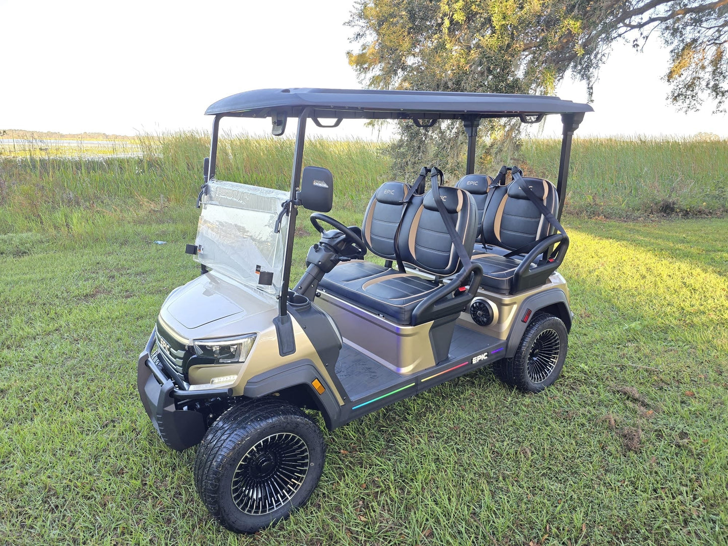 EPIC E40FX golf cart