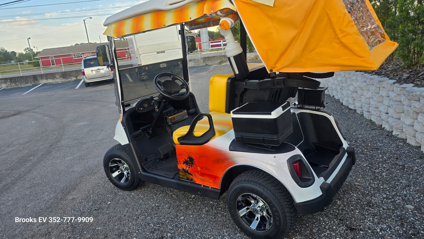 2016 Ezgo Custom Edition
