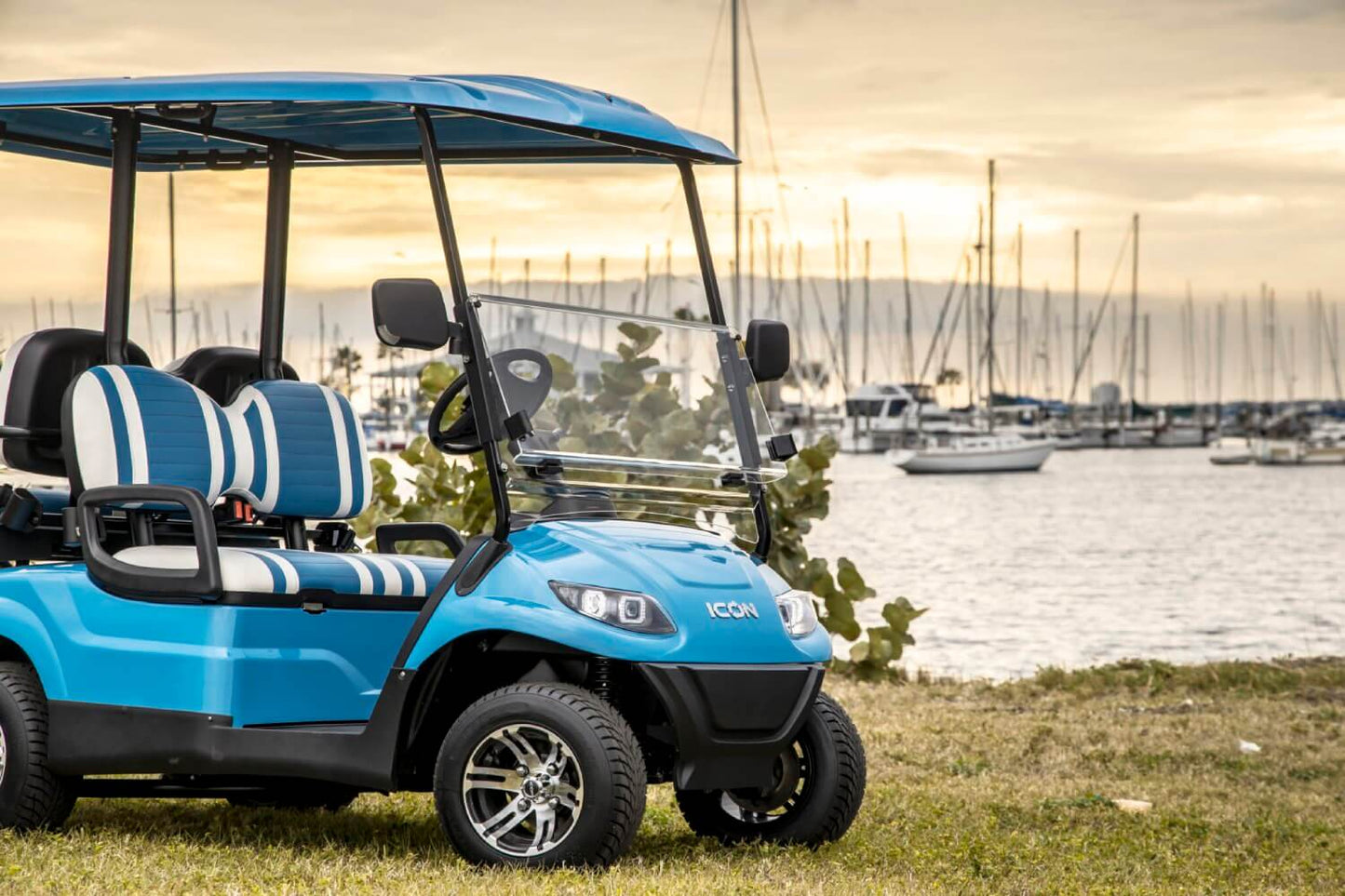 2024 Icon i40 Golf Cart